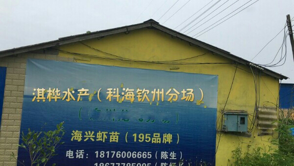 淇桦水产(海兴虾苗场)