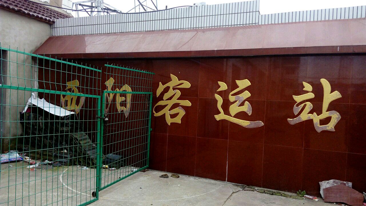 江苏省常州市金坛区西旸村(诚信药房斜对面)