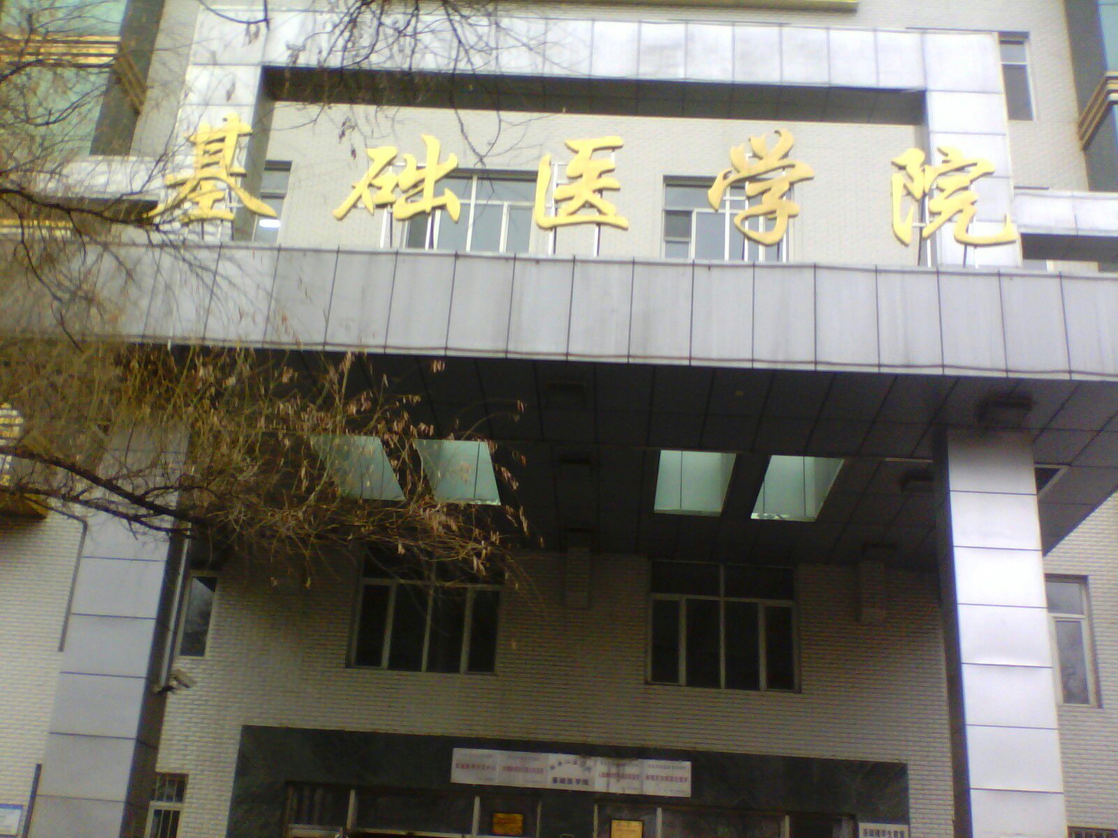 杜丹江医学院-基础医学院