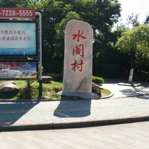 丽水市莲都区成大街156号