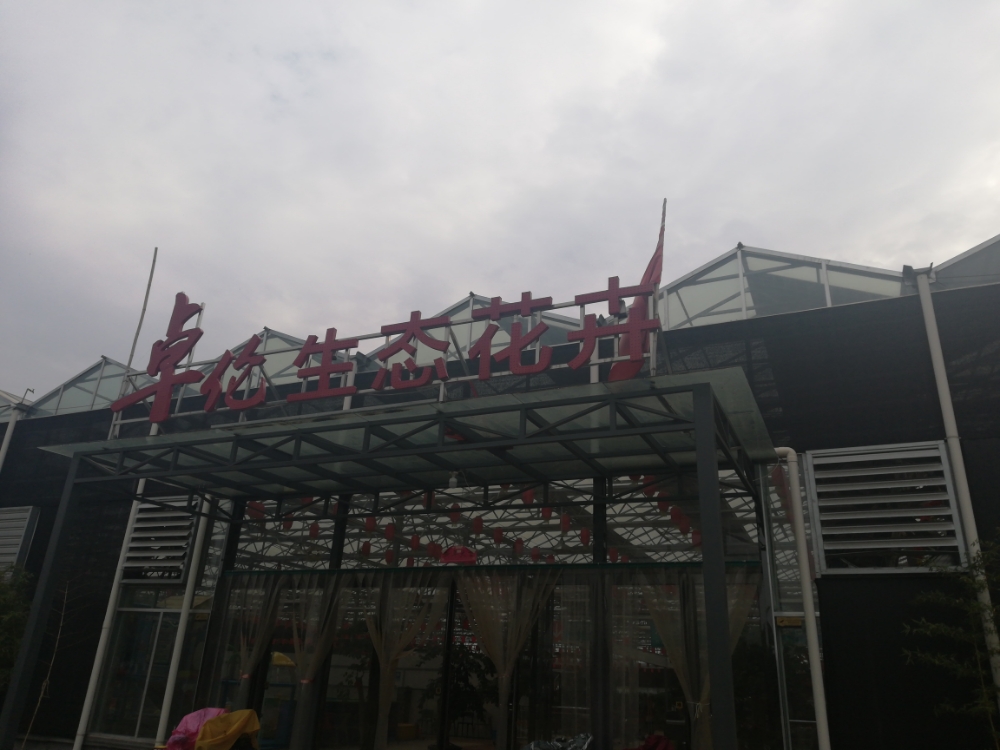 卓伦生态花鸟