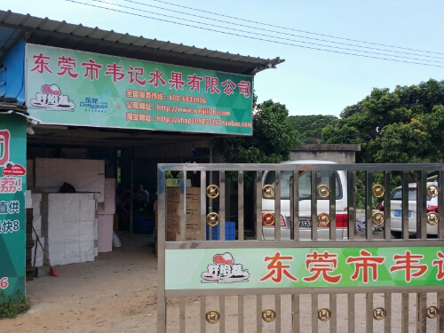 东莞市韦记水果有限公司