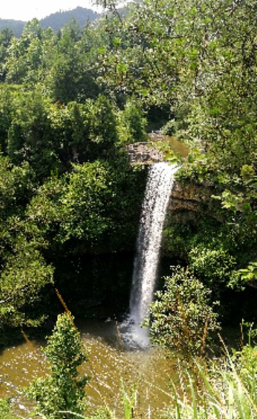 贵阳市花溪区高坡乡水塘村