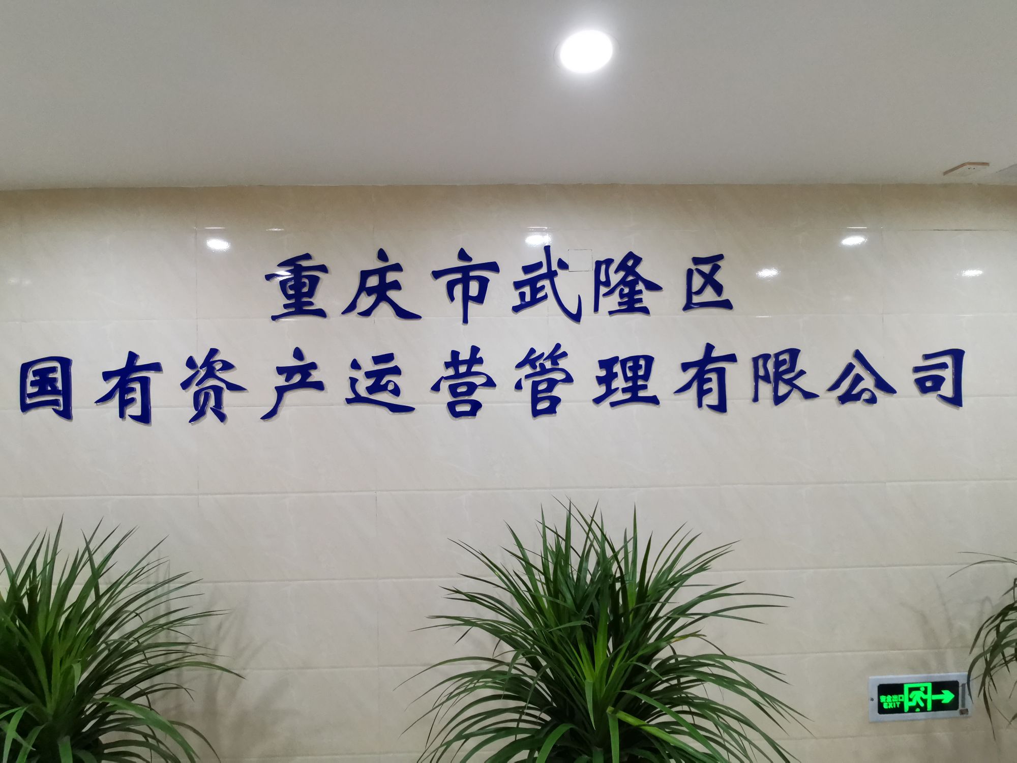 重庆市武隆区国有资产运营管理有限公司