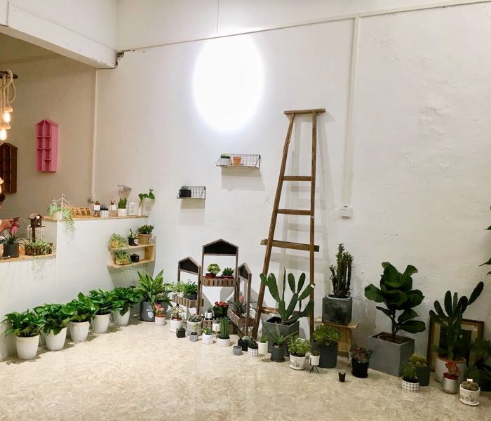 老房子花艺工作室