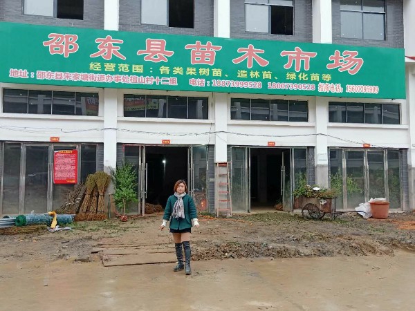 邵东县苗木市场