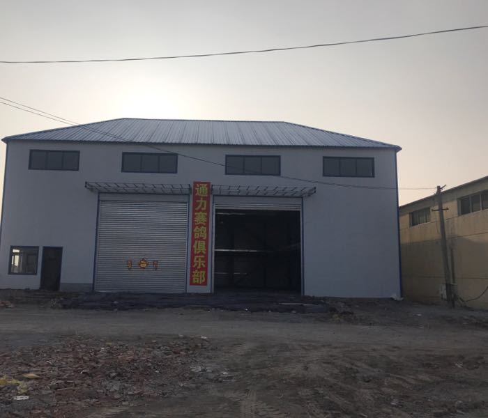 天津通力赛鸽公棚