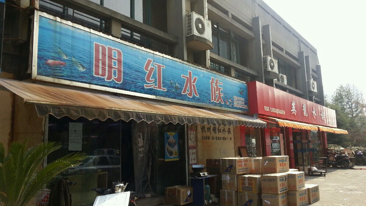 林红水族(中国旗舰店)