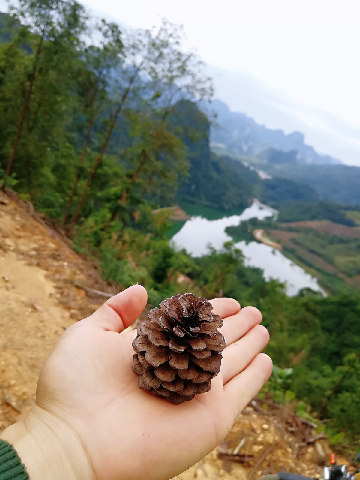 广西壮族自治区崇左市天等县龙茗镇龙英沿江西路天等龙茗汽车站