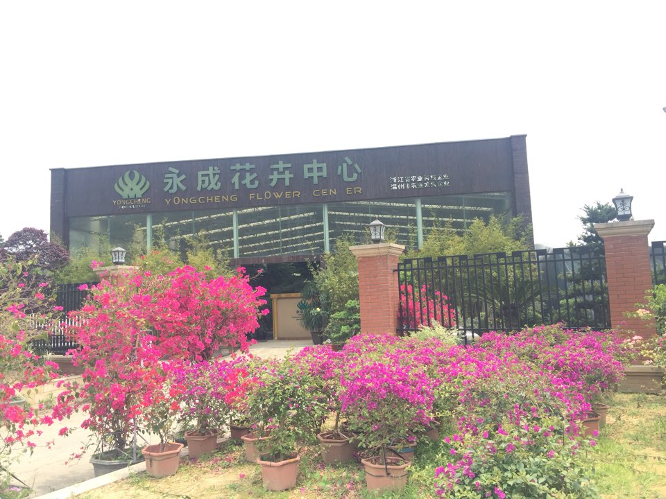 丽岙缤纷花木场