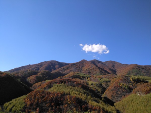 玄武湖景区-观景台
