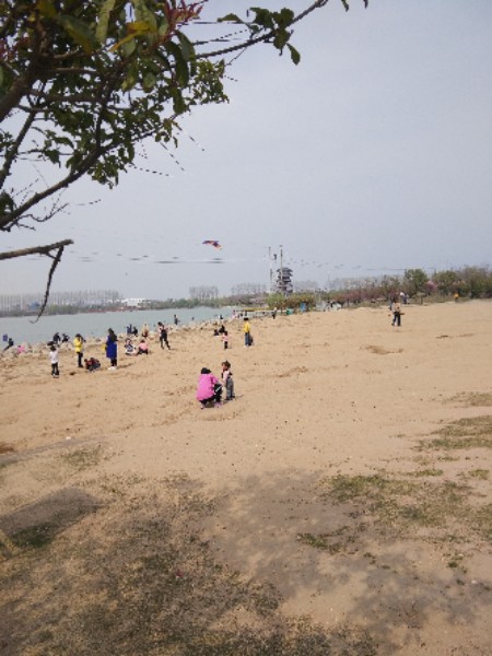 临颍县黄龙湿地公园