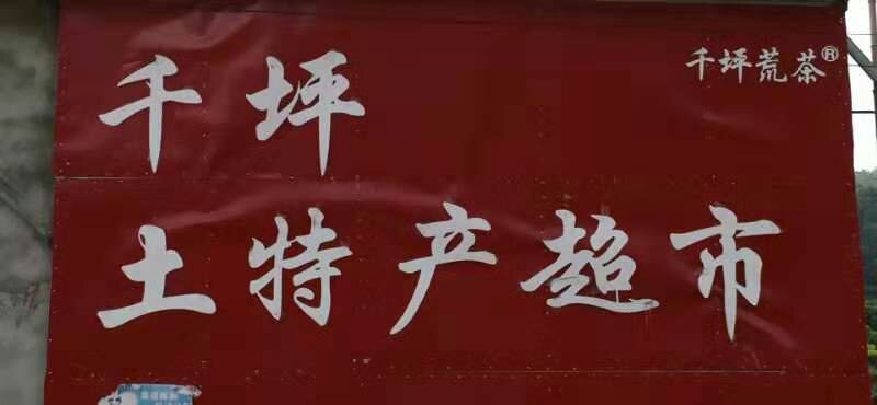 安徽省六安市金寨县千坪村大柳树