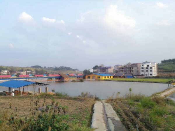 邵阳县羊古老休闲农场