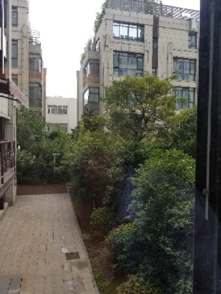 上海市闵行区银春路1799弄156号