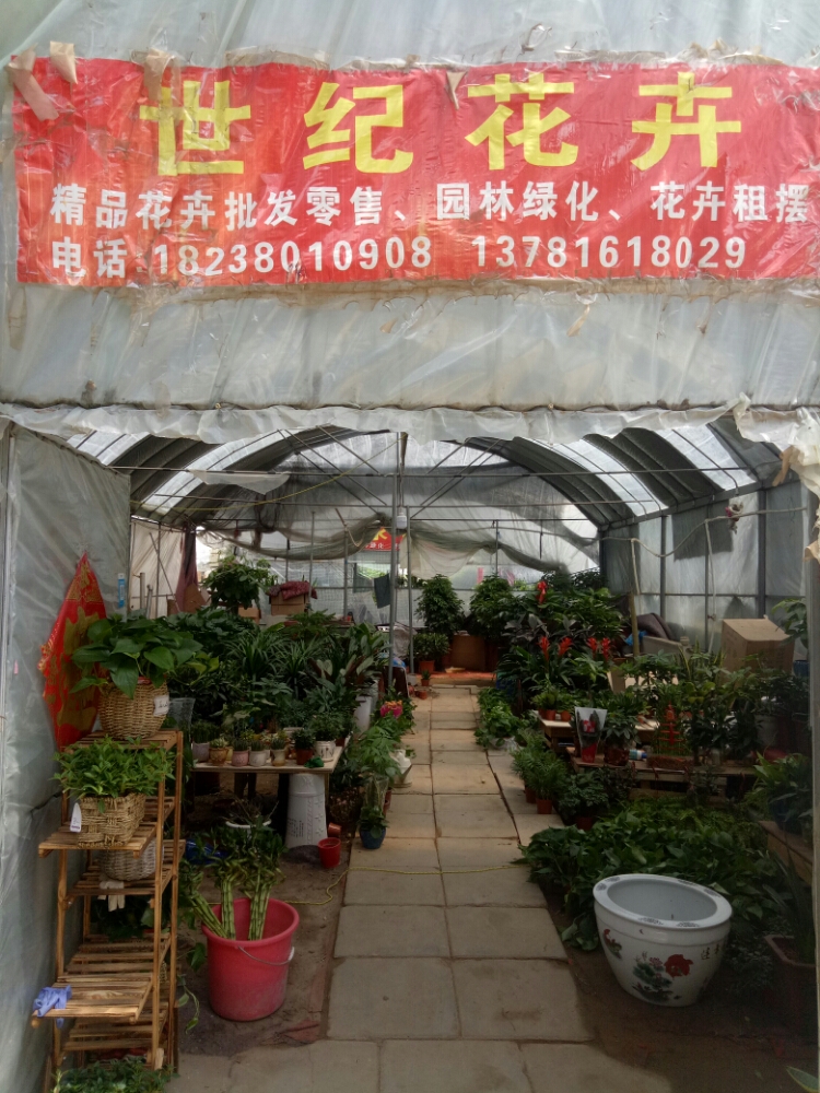 金世纪花卉