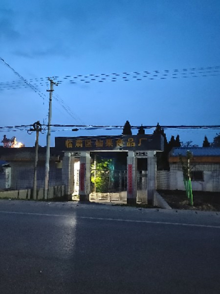 临渭区仙果食品厂