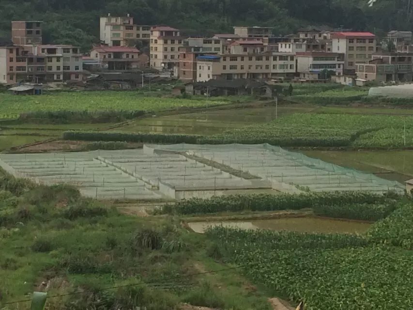 福建省三明市大田县西埔村东埔自然村