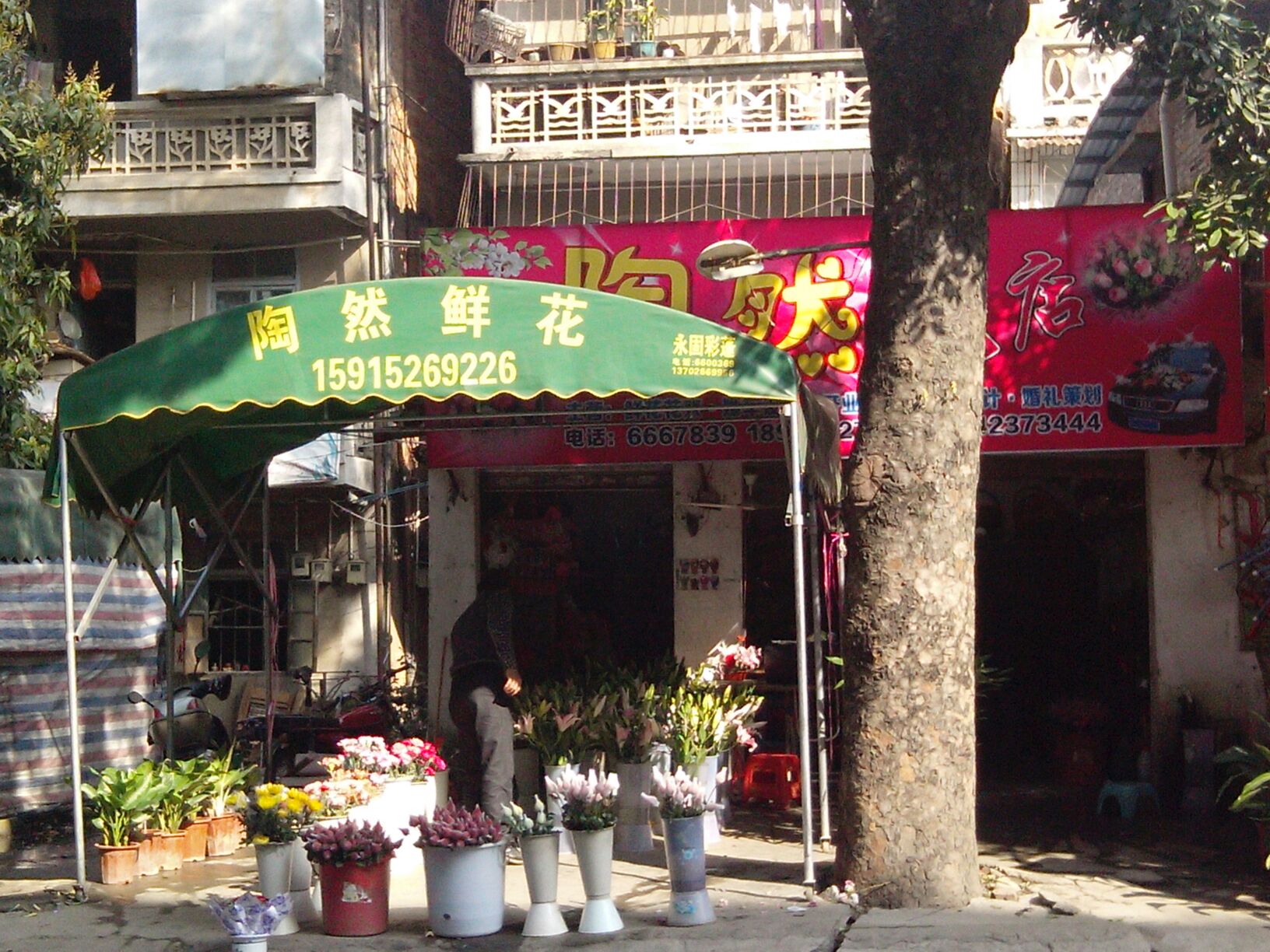 陶然花店