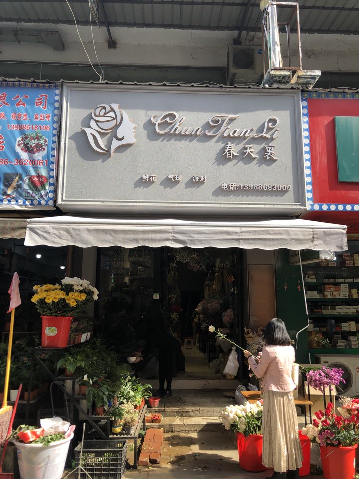 春天里花店