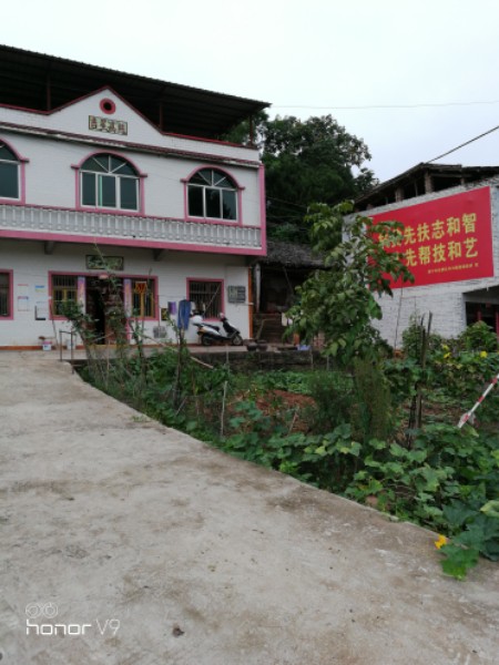 安居区中心镇水洞湾村赫赫猫舍