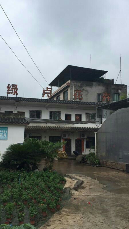 重庆录点花卉(香驿路店)