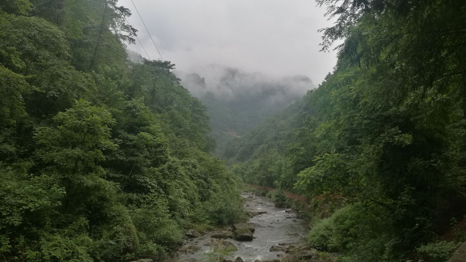 插旗山原始森林风景