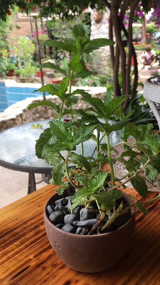 明月私方菜馆