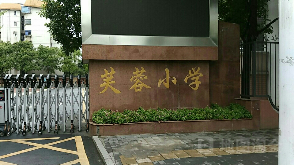 芙蓉路学校