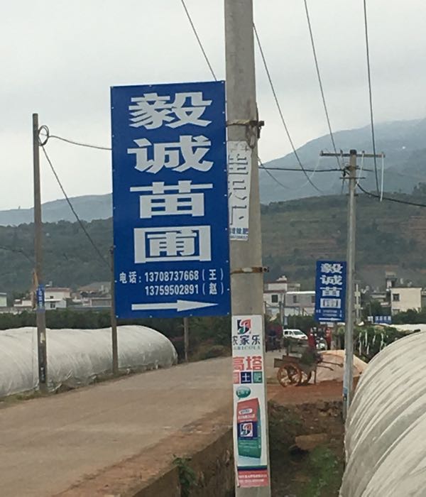 宜良毅诚苗圃