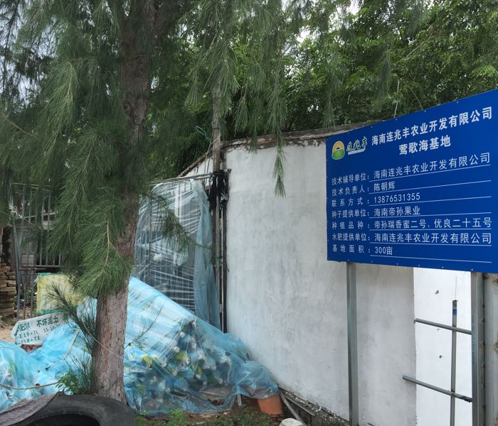 海南连兆丰农业开发有限公司(莺歌海基地)