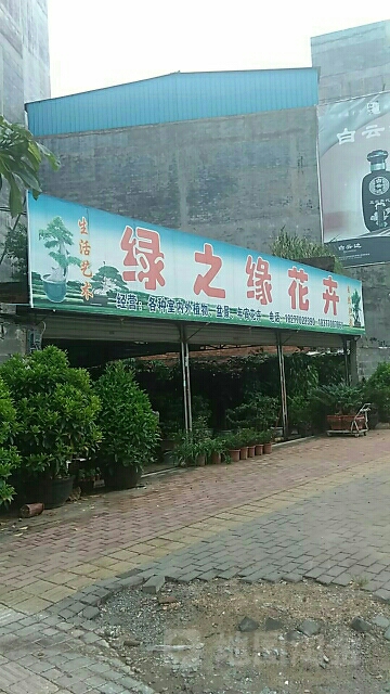 绿之缘花卉(民族大道店)