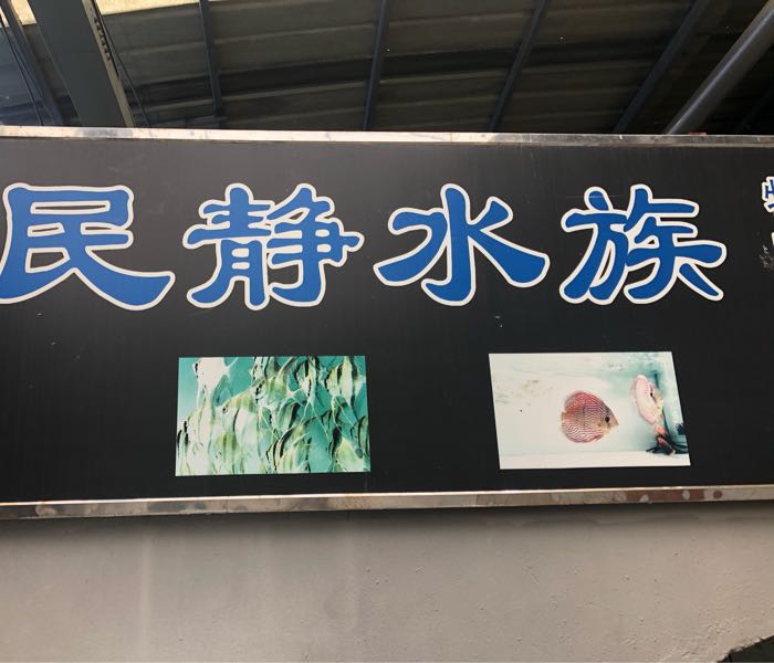 民静水族