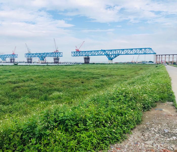 中山市盛荟草场