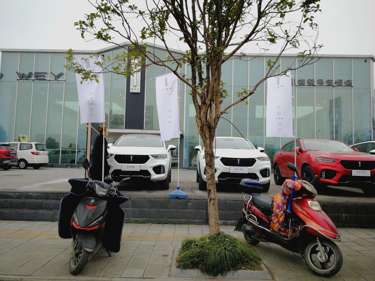 长城汽车.坦克.销售服务店(恩施志恒·花果山汽车城)