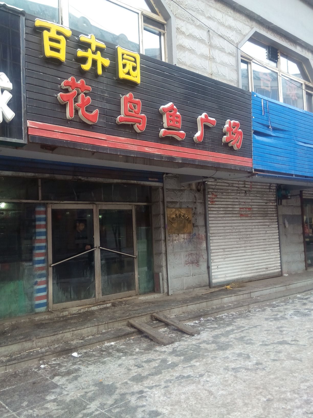 花鸟市广场(旭民路店)