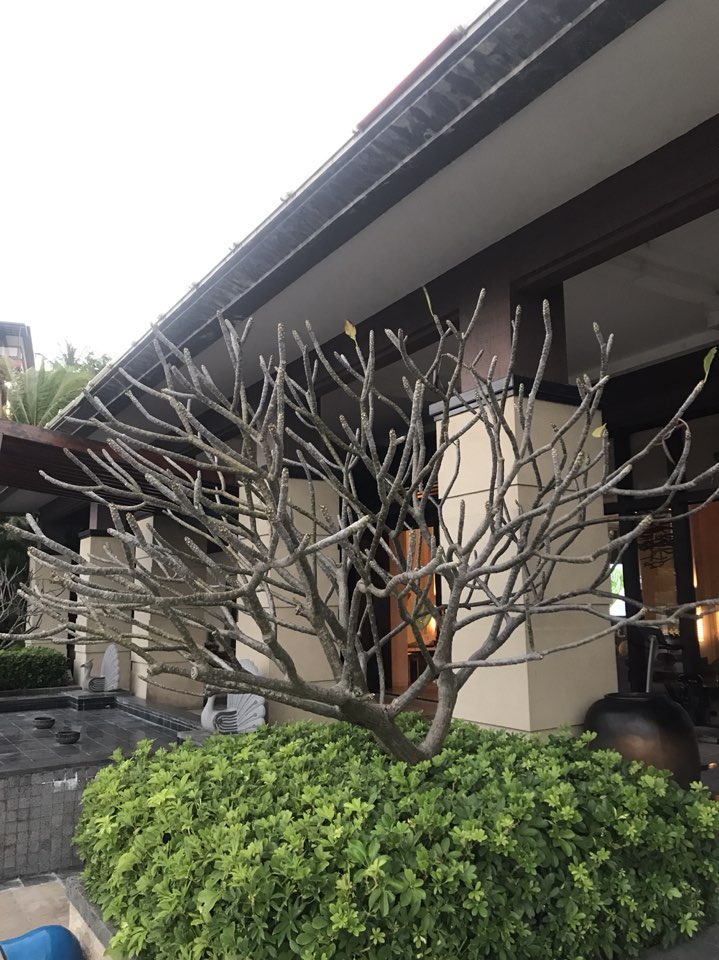 富力湾山海豪庭停车场-出入口