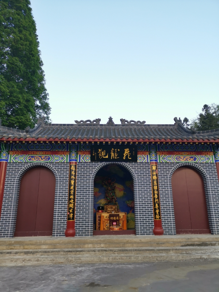 飞龙棺