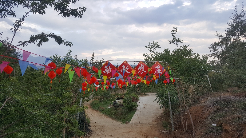 拉白村地名网_四川省凉山彝族自治州冕宁县宏模镇拉白村资料简介