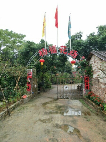 杨福花场