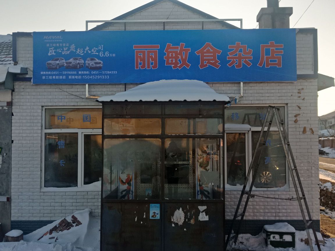 丽敏食杂店