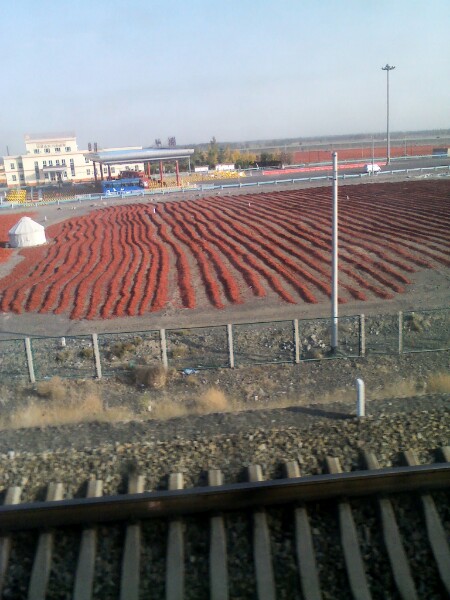 新疆维吾尔自治区塔城地区沙湾市火车站路