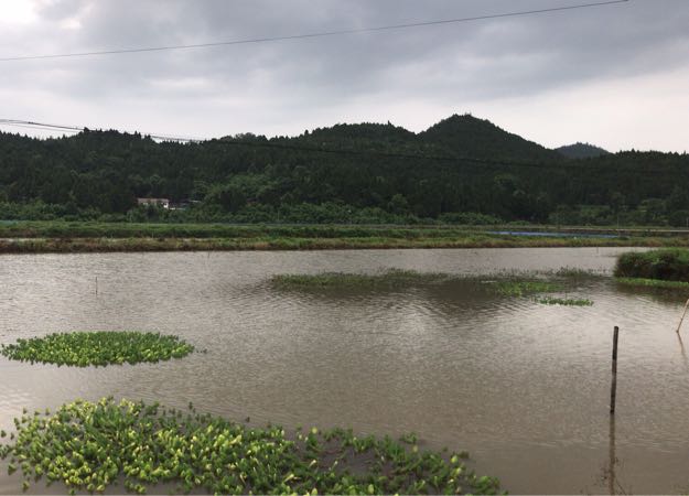 板桥子村地名网_四川省南充市西充县宏桥乡板桥子村资料简介