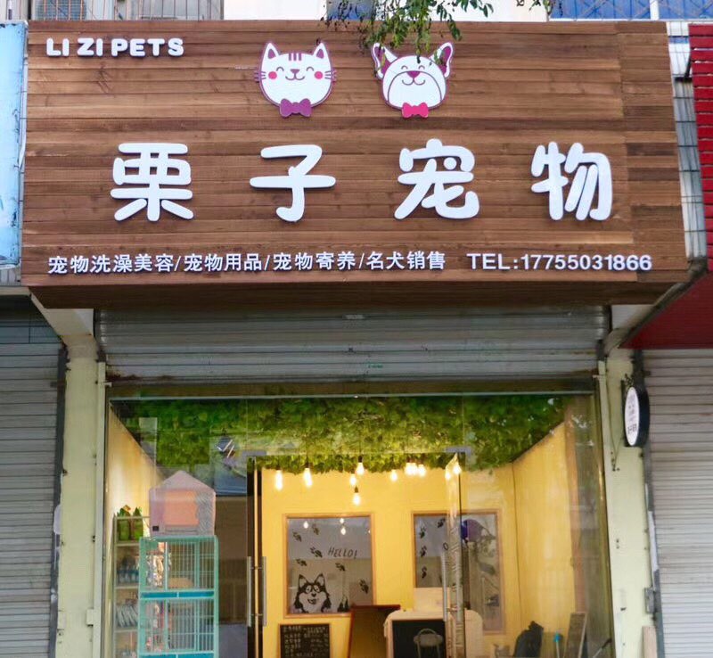 栗子宠物店