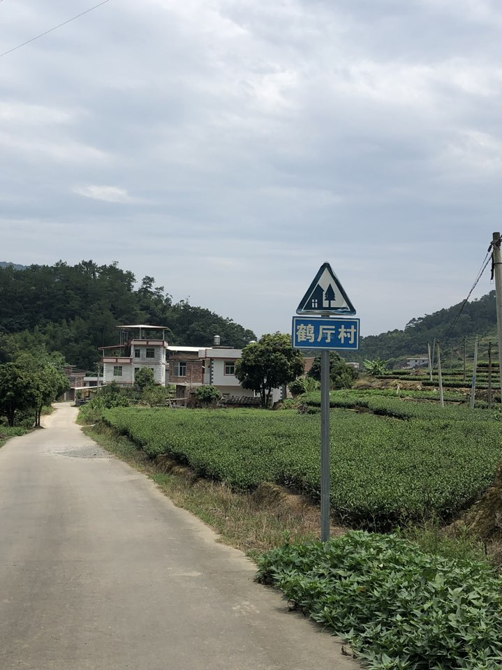 泉州市安溪县三零八省道