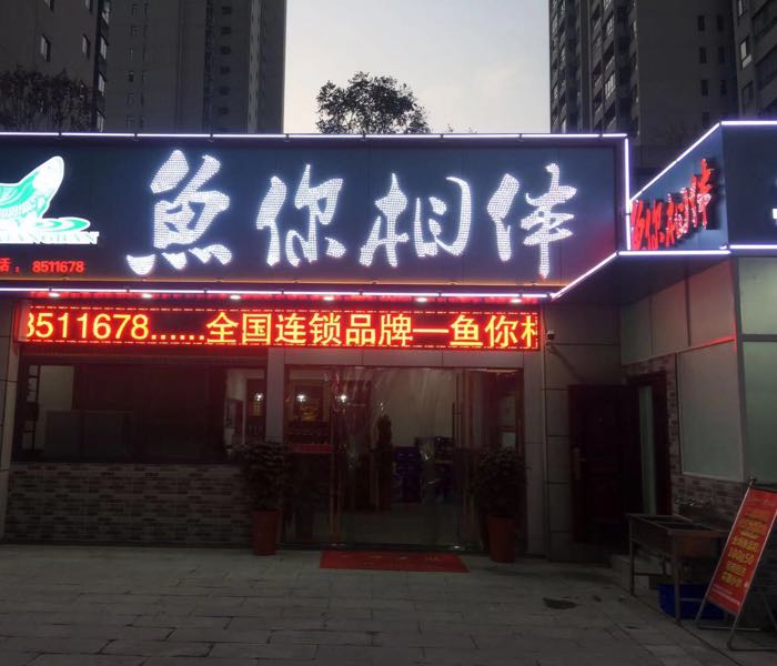 鱼你相伴