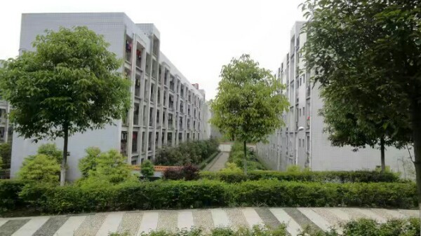 邵阳县石齐学校