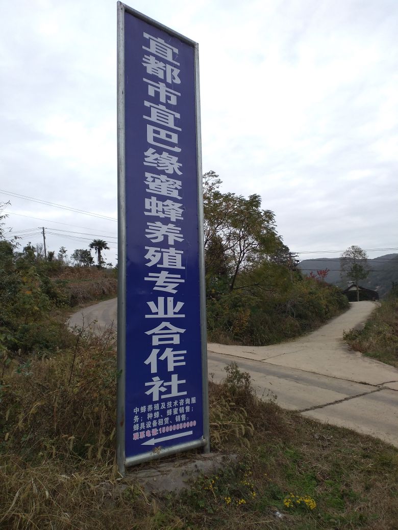 松木坪镇江家湾村六组6-054