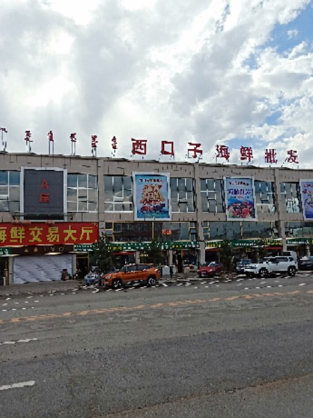 西口子村海鲜批发(彩霞店)