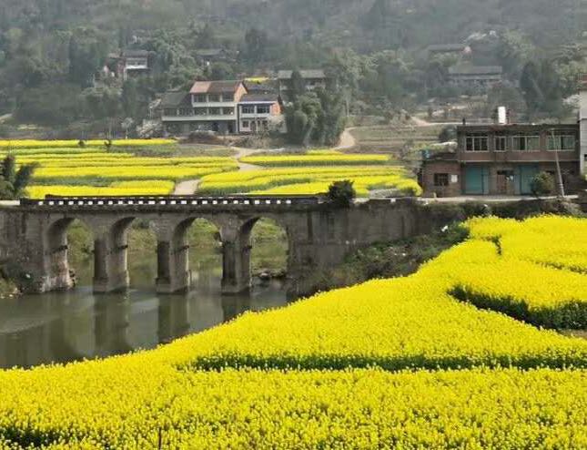 达州市达川区